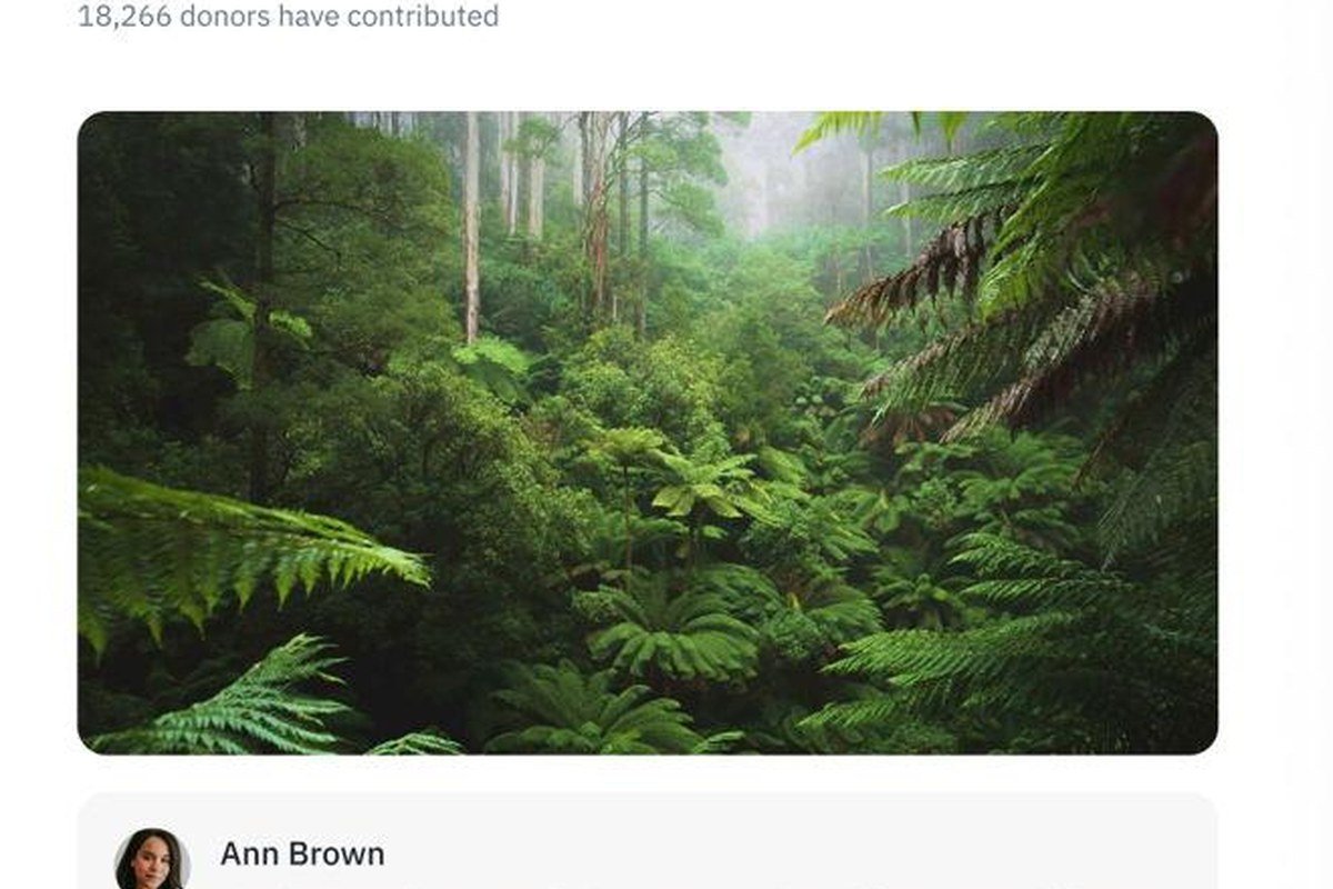Creative Access Fund